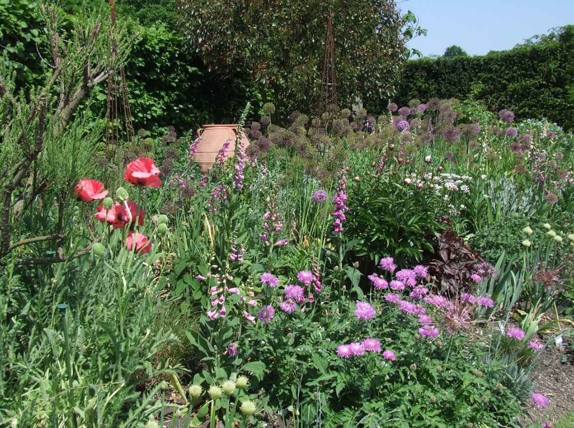 Groei en Bloei tuin