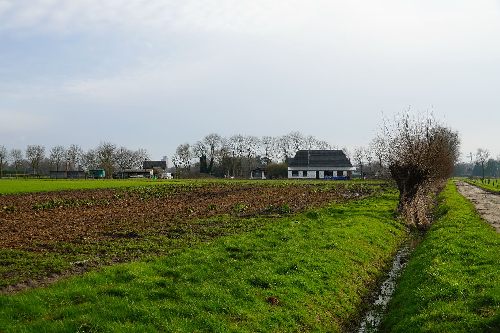 Kluisstraat