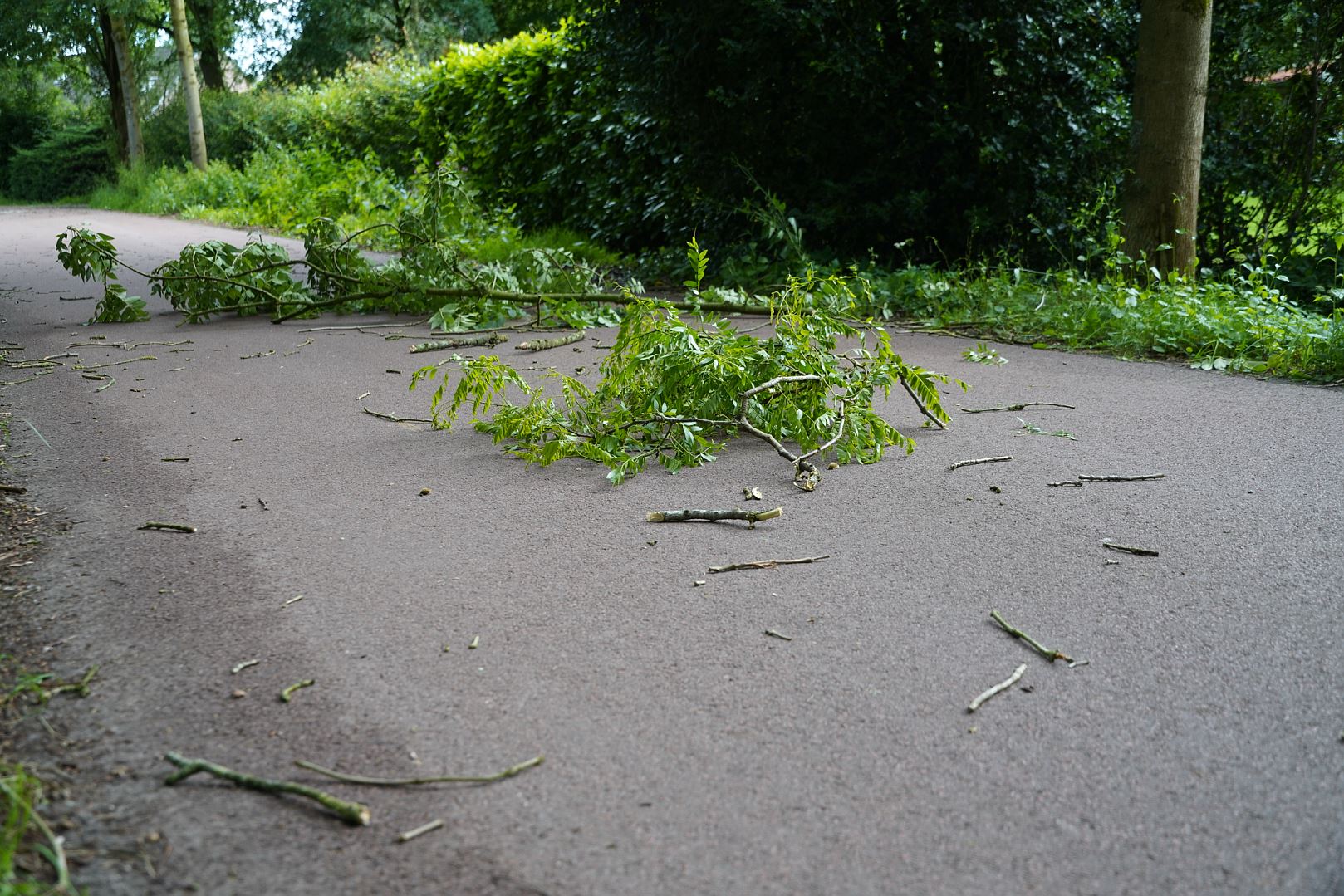 Lentestorm Rietdijk Haagse Beemden