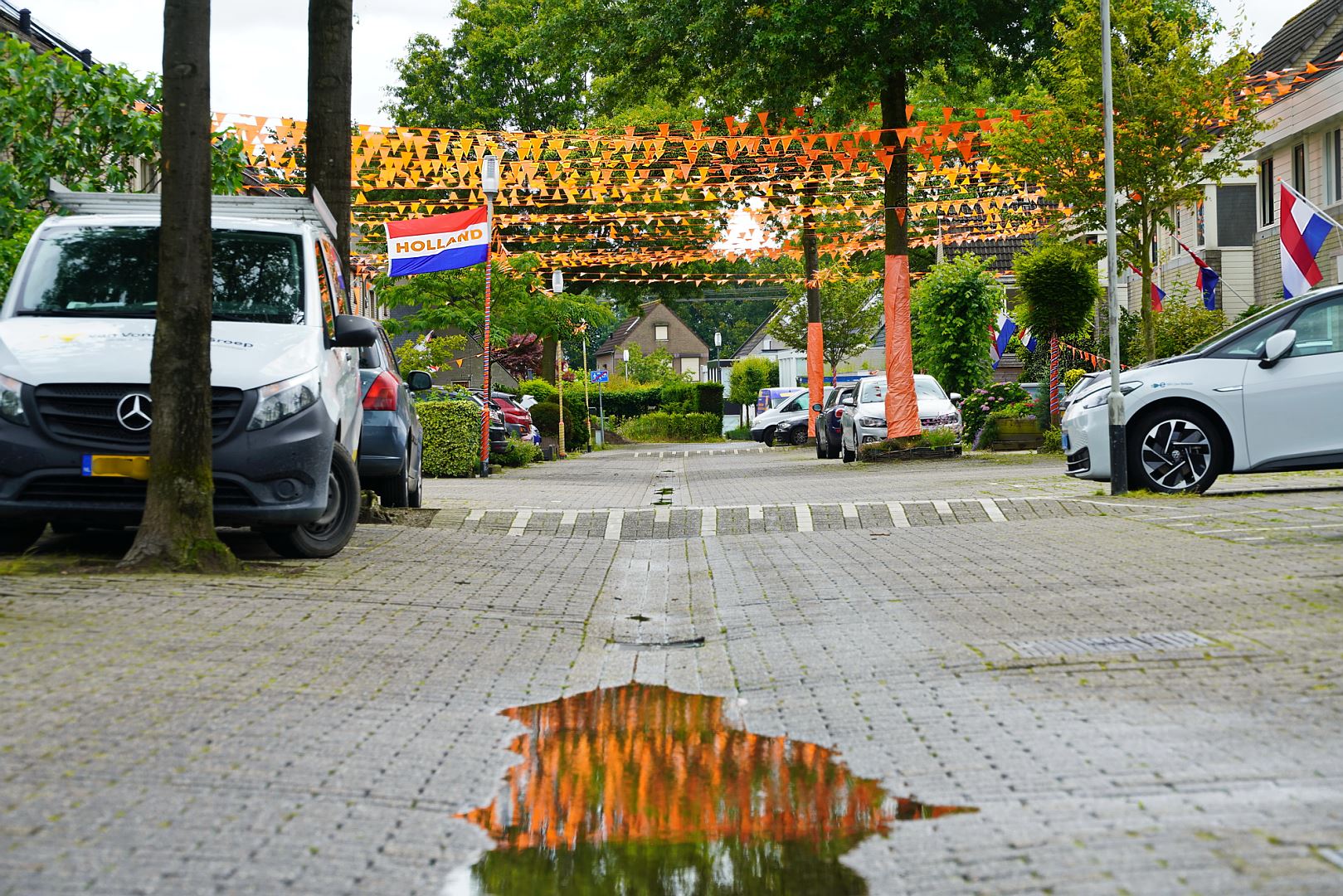 Oranje wint Scholekster