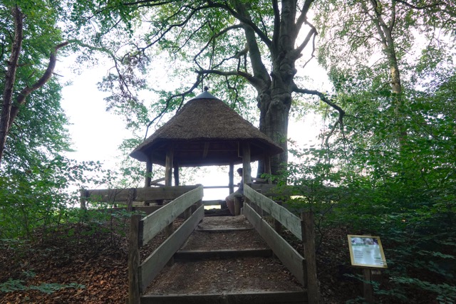 IVN Mark & Donge natuurwandeling Oude Buisse Heide