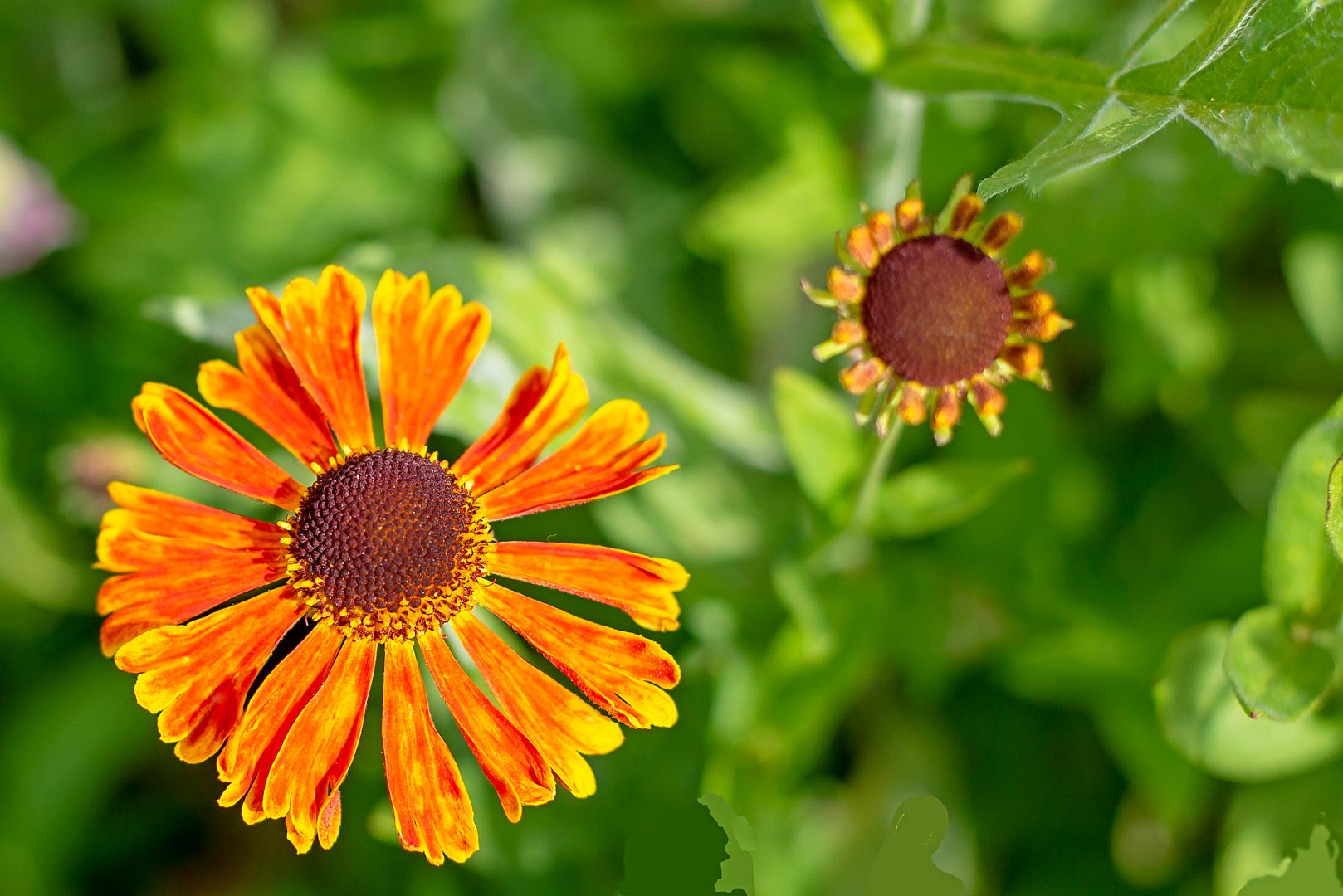 Kiek Bloemenhulde 1