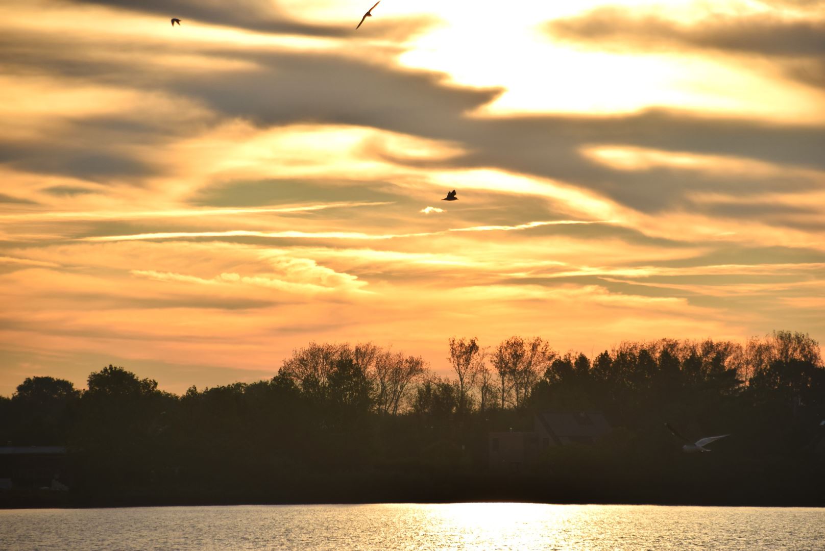 Kiek Zon op boven de Asterdplas Haagse Beemden