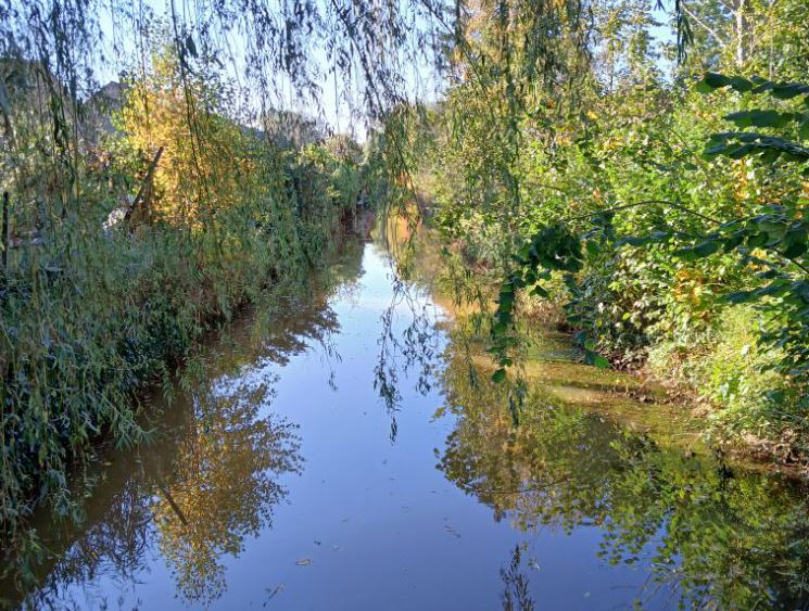 Kiek wandelweer