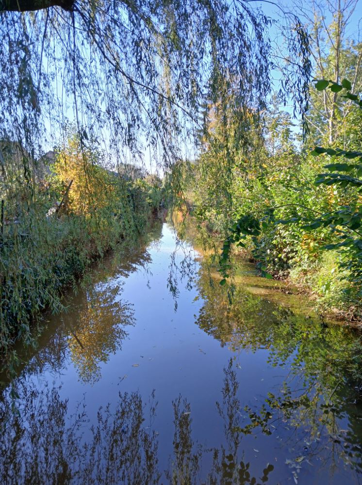 Kiek wandelweer