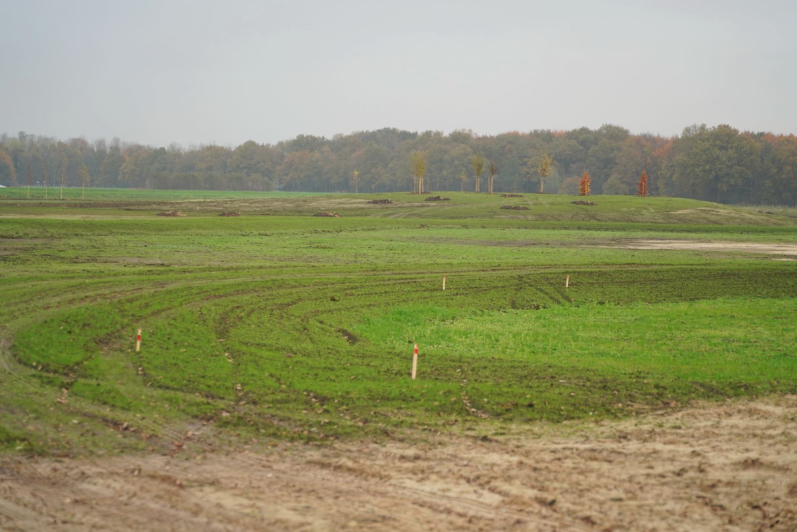 Levensbos Werftseweg Haagse Beemden