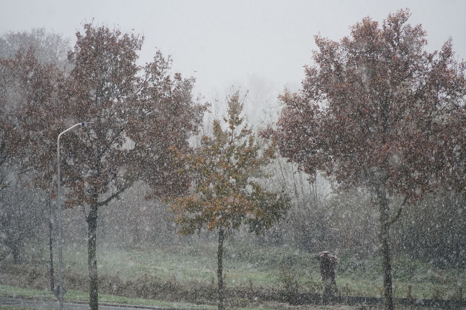 Kiek natte sneeuw