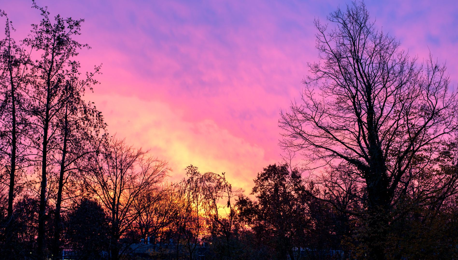 Kiek zonsopkomst Jan Brouwer