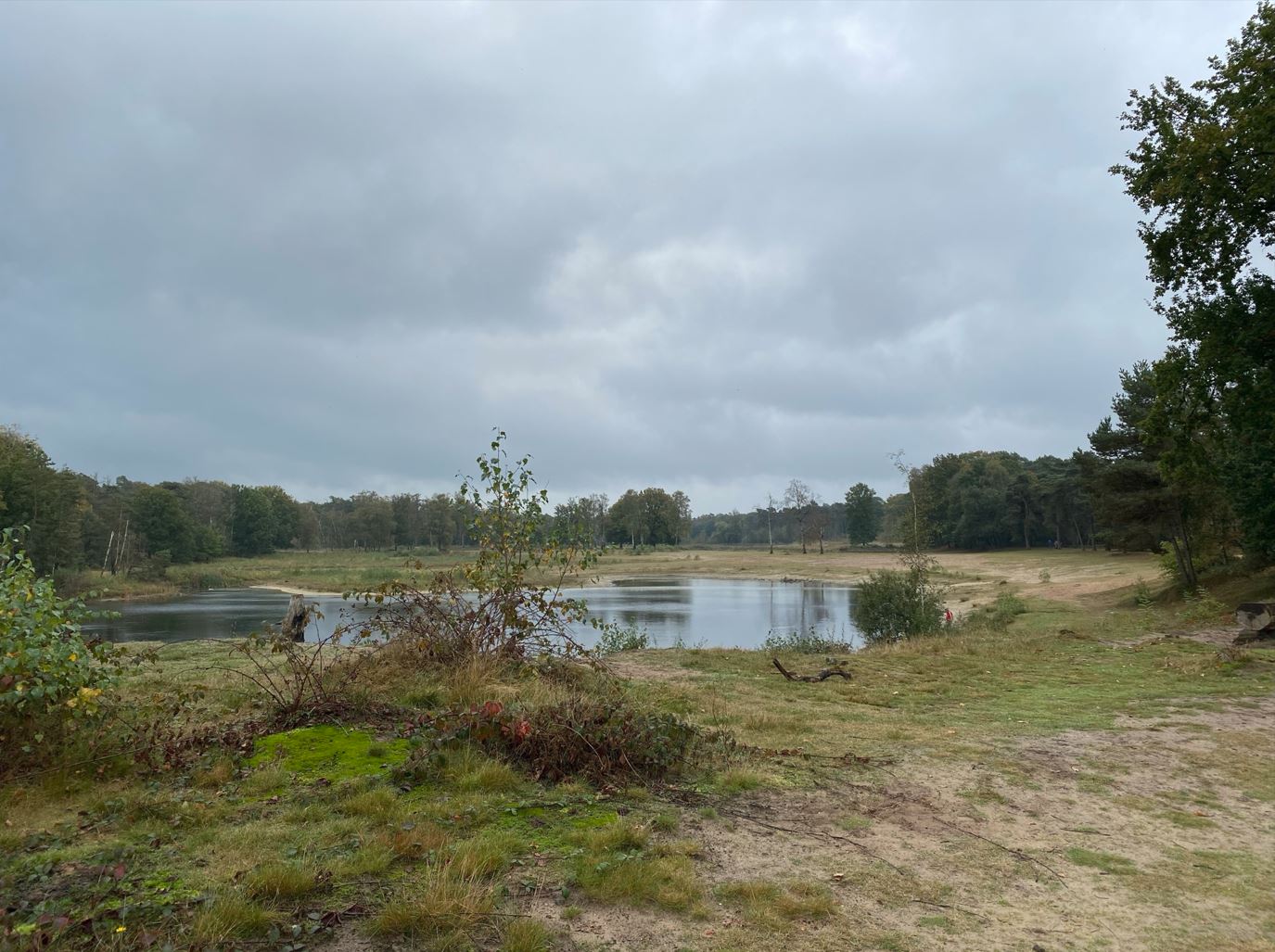 Surea Dorst Gilde de Baronie