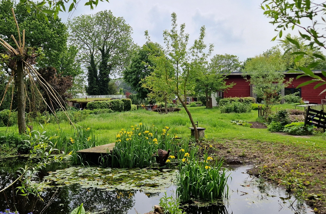 Expositieterrein De Plek om te Zijn - Oud Drimmelen 4